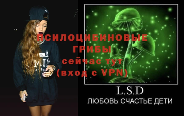 мяу мяу мука Арсеньев