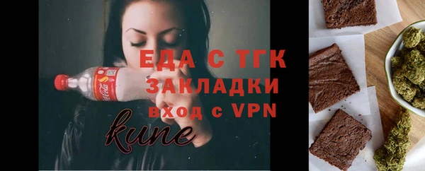 мдпв Каменка