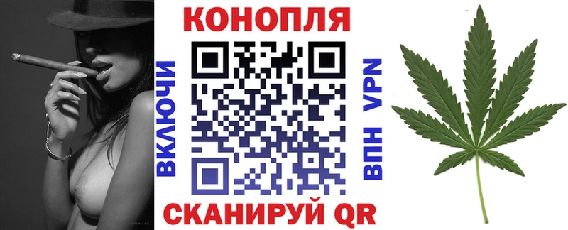 Конопля THC 21%  где найти   Опочка 